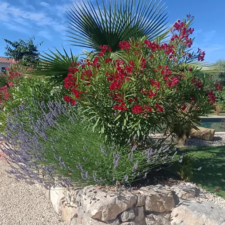 Douce Provence Magnifique Neuf Avec Jardin Proche Du Centre * Vaison-la-Romaine